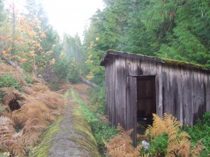 The shed along the pipe