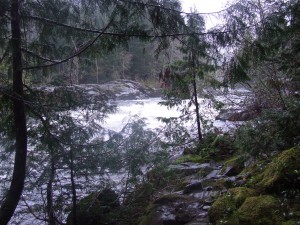 The Sooke River was up DSCF3673 300x225 The Sooke River was up
