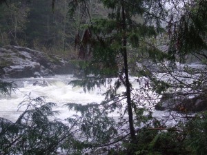 DSCF3675 300x225 The Sooke River was up