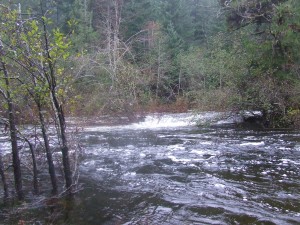 The Sooke River hitting some high marks DSCF3677 300x225 The Sooke River hitting some high marks