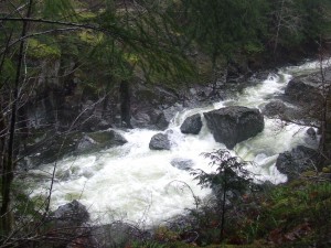 DSCF3706 300x225 Sooke River running high from the rains