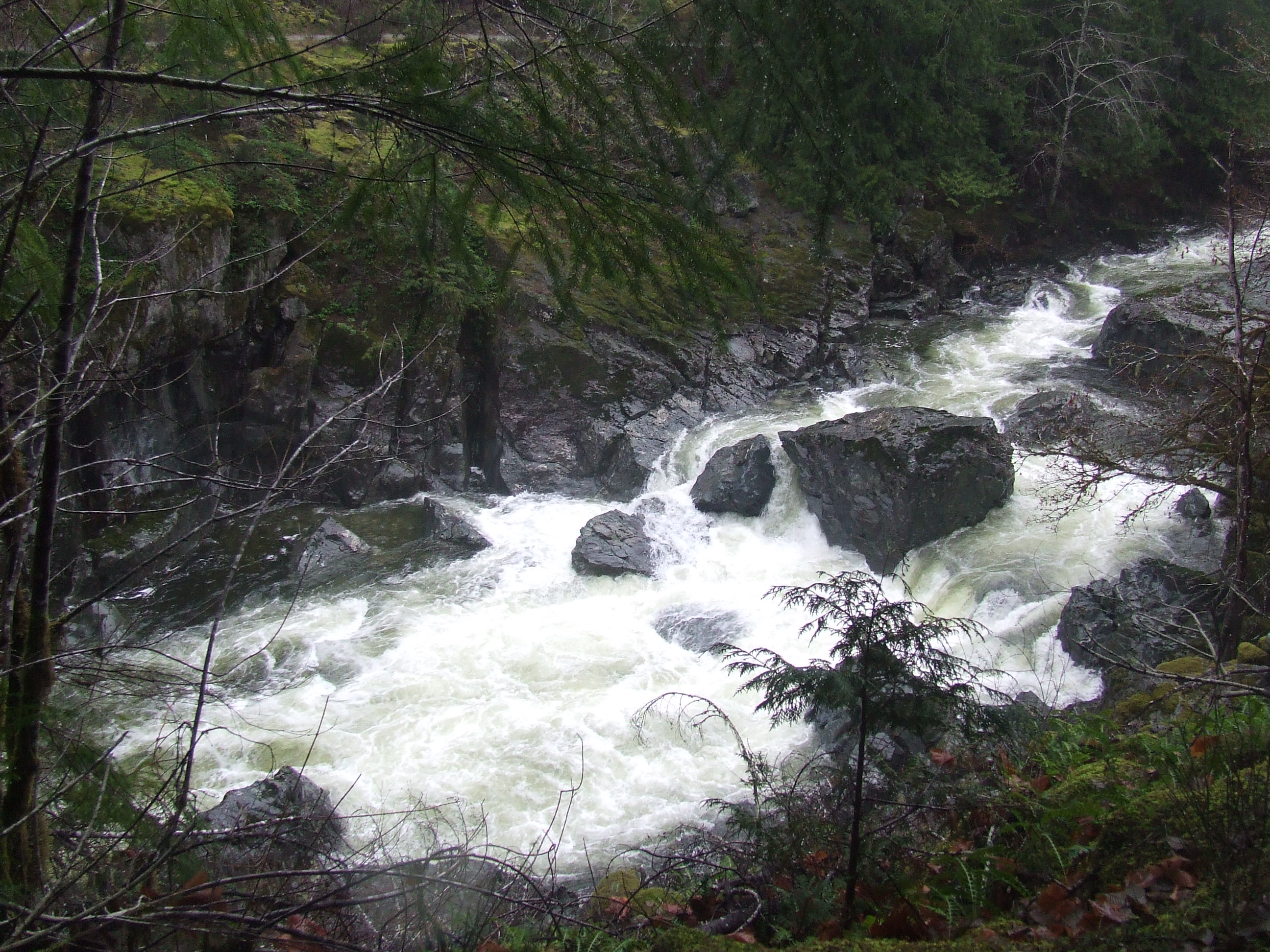 Sooke River running high from the rains