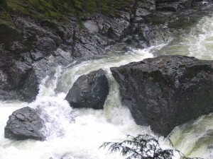 Sooke River running high from the rains DSCF3707 300x225 Sooke River running high from the rains