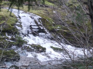 DSCF37211 300x225 Creek of ice feeding the Sooke River