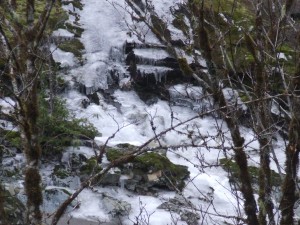 2nd Creek of ice feeding the Sooke River