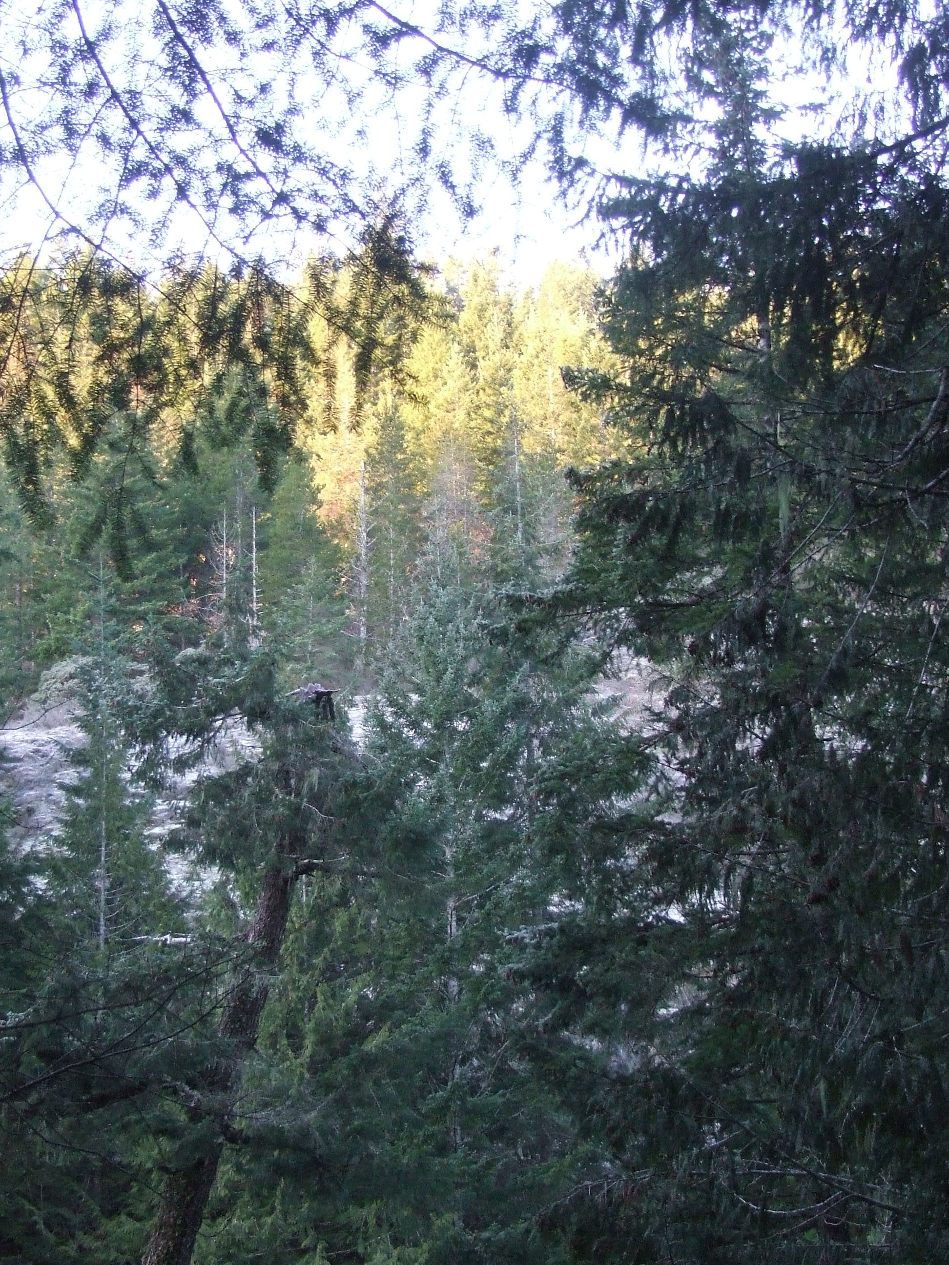 Sunrise in the Sooke Hills