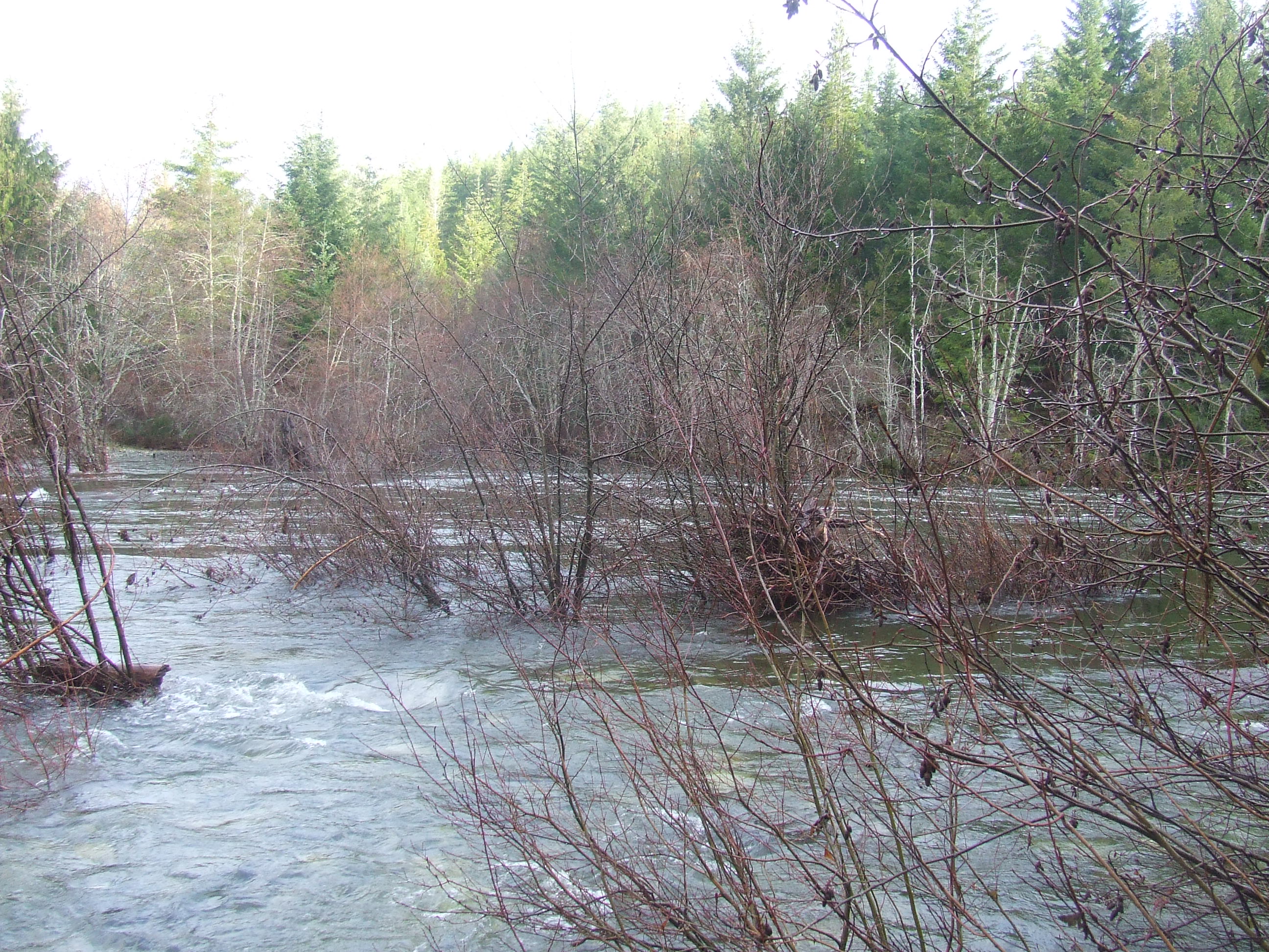 The Water running high at the curve of the river