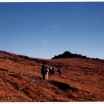 Hurrican ridge trail Olympic National Forrect Washington State.