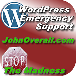 Emergency WordPress Support Available Now