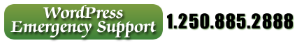 Need WordPress Emergency Support Call john at 1-250-885-2888