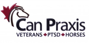 I am running a Marathon and since it is the only one I plan to run I am looking to support a great organization that supports Canadian Vets suffering from PTSD. The group is called Can Praxis and they use Equine (hosre) Therapy to helps vets learn to deal with the emotions that come from PTSD. I am raising the money though Wounded Warriors Canada who will send the money direct to Can Praxis. Please support our vets by going here and donating what ever you can. If your Canadien you will also get a tax receipt for your donation.