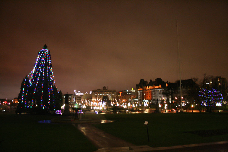 The City at night