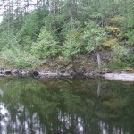 Sooke River in late spring