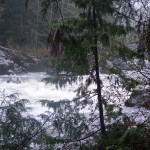 The Sooke River was up