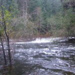 The Sooke River hitting some high marks