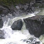 Sooke River running high from the rains