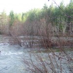 The Water running high at the curve of the river