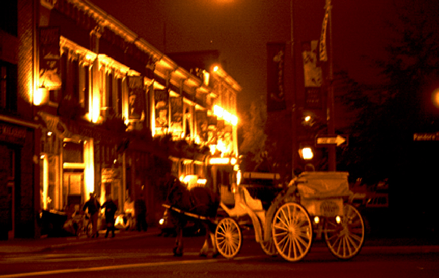 Victoria Carriage Ride