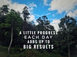 a forest background with text reading "A little progress each day adds up to big results"