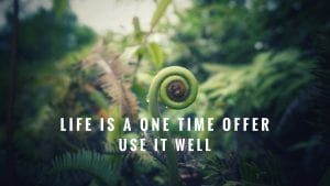 text reading "Life is a one time offer Use it well" over a fern.