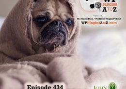 It's Episode 434 and I've got plugins for Affiliate Commissions, Analytics in Your Dashboard, Image Sliders and ClassicPress Options. It's all coming up on WordPress Plugins A-Z! CouponPanel, Site Kit by Google, Master Slider – Responsive Touch Slider, and ClassicPress options in Episode 434