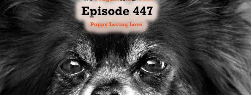 It's Episode 447 and I've got plugins for Sharing the Love, Easy Files, Lazy Times, Insult Generator and ClassicPress Options. It's all coming up on WordPress Plugins A-Z! Valentine’s Day, Valentine’s Day Hearts, File Manager, Lazy Load Elementor Background Images, Insult Generator, and ClassicPress options in Episode 447