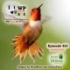 Tapping the Flowers of Life and Finding the Nectar It's Episode 452 with plugins for Page builders, Class Registration Management, Google Analytic for WooCommerce, and ClassicPress Options. It's all coming up on WordPress Plugins A-Z! Brizy (page builder), Easy School Registration, Enhanced eCommerce google analytics plugin for WooCommerce, Beta Fork of Elementor for ClassicPress, and other ClassicPress options in Episode 452