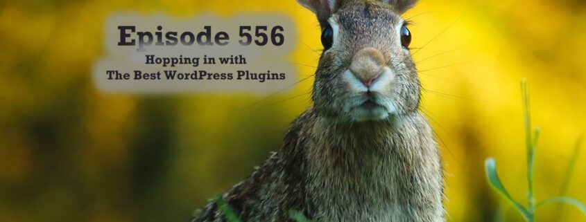 It's Episode 556 and we have plugins for Author for Woo, Gift Hunting, Secret Slide Tune, Revolution-izing Sliders, Sliders Package, Removing Archives... and ClassicPress Options. It's all coming up on WordPress Plugins A-Z!